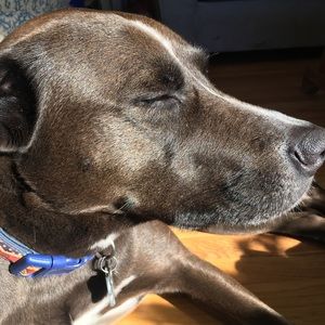 Meet your Posher, Caprise